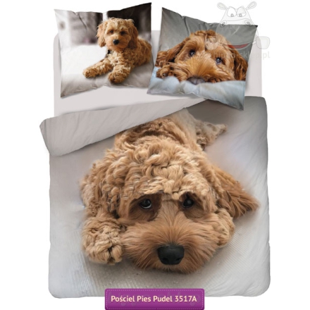 Bedding with Poodle toy dog 140x200 or 160x200 + 2x 70x80, beige
