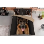 bedding sets with Alsatian Wolf Dog 220x200 + 2x 70x80