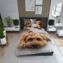 Miniature toy poodle bed linen  150x200 + 2x 50x60