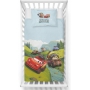 Cotton bed set for boys with Cars 90x120 + 40x60