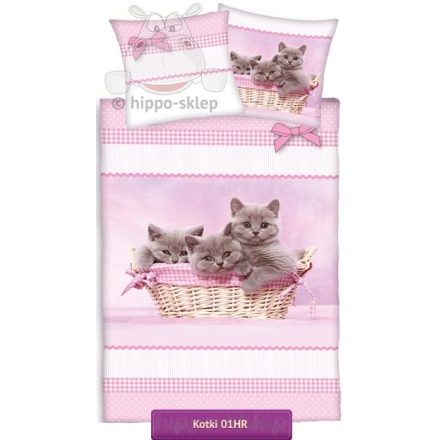 Bedding with small kittens