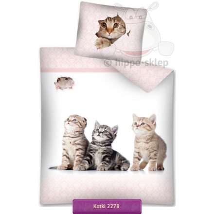 Bedding cats