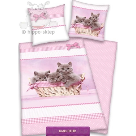 Bedding with small kittens