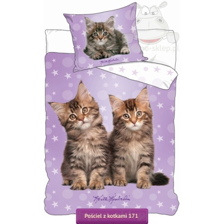 Bedding with Cats by Keith Kimberlin