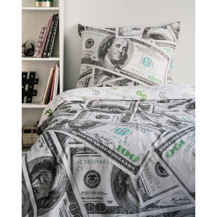 Bedding with 100 dollar notes