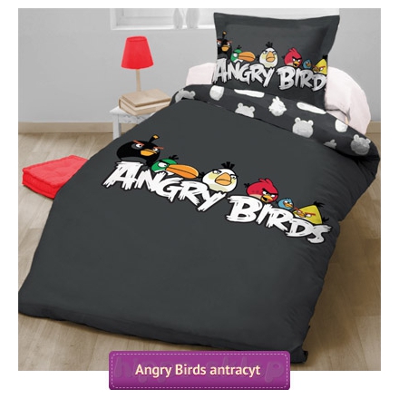 Angry Birds Hang Around kids bedding 140x200, graphite