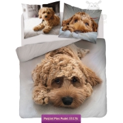 Bedding with Poodle toy dog 140x200 or 160x200 + 2x 70x80, beige