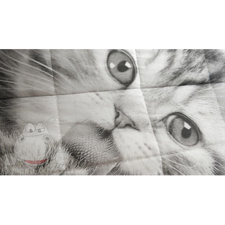 Little cat kids quilted bedspread 