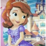 Quilted bedspread Sofia the first - for girls