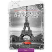 Eiffel tower - Paris bedspread 140x200 
