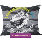 Glow in the dark pillowcase with dinosaurs head