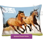 Riding horses Animal Planet pillowcase 70x80 cm, blue