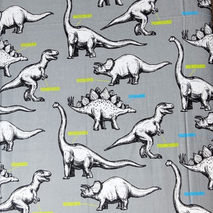 Flat sheets with dinosaurs theme