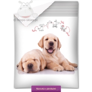 Kids bedspread with dogs - Labradors puppies 140x195
