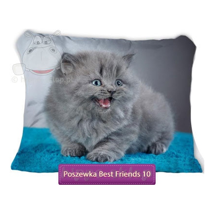 Pillowcase with cat grey