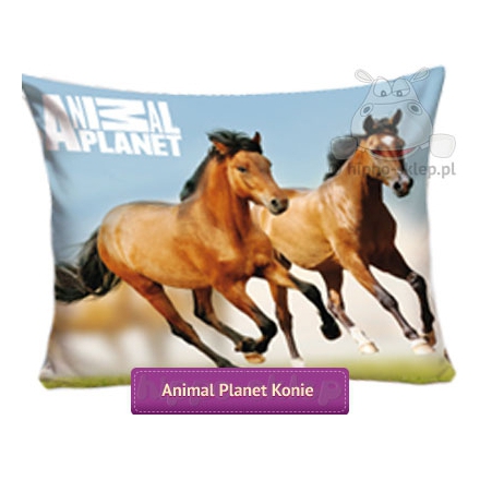 Riding horses Animal Planet pillowcase 70x80 cm, blue