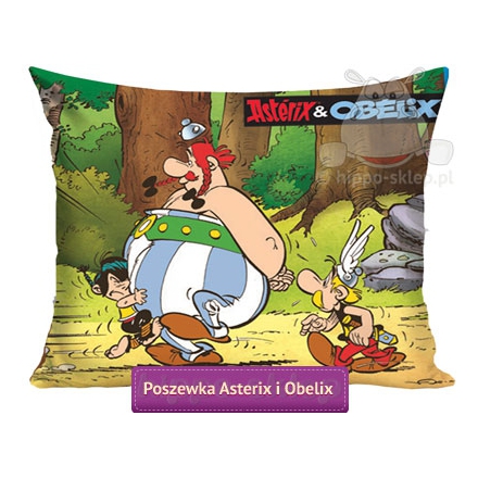 Asterix & Obelix large pillowcase 70x80, green