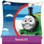 Thomas & Friends small pillowcase with James and Percy