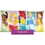Disney Princess kids pillow cover or decorative pillow