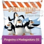 Small square kids pillowcase Penguins of Madagascar 01, DreamWorks