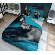 Bedding with bulldog 150x200 + 2x 50x60, turquoise