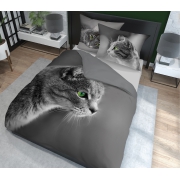 Bedding with domestic cat